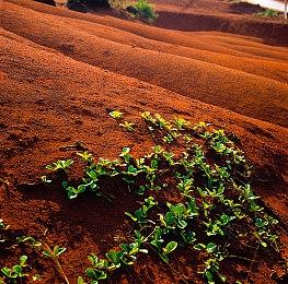 国产动作游戏《平寇志》Steam页面上线 第四季度发售